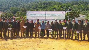 Pemkab Kayong Utara Tanam Pohon Demi Pemulihan Hutan dan Lahan