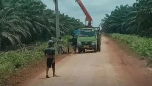 Setengah Abad Dalam Kegelapan, Desa Durian Sebatang Kini akan dialiri Jaringan listrik