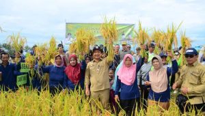 Sekda Ketapang Hadiri Panen Raya dan Serahkan Bantuan Alat Pertanian