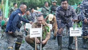 Sekda Ketapang Turun Langsung Menanam Mangrove Di Pantai Cilincing Pada Acara Puncak Penanaman Mangrove Nasional Serentak