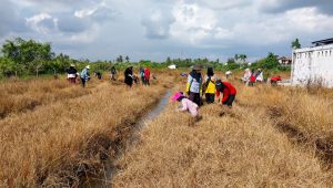 Desa Kalinilam Gandeng Yayasan FIELD Berikan Pelatihan Pada Kelompok Tani dengan program Udara Bersih Indonesia