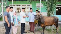 Ketua DPRD Ketapang Serahkan Empat Sapi Kurban untuk masyarakat Ketapang