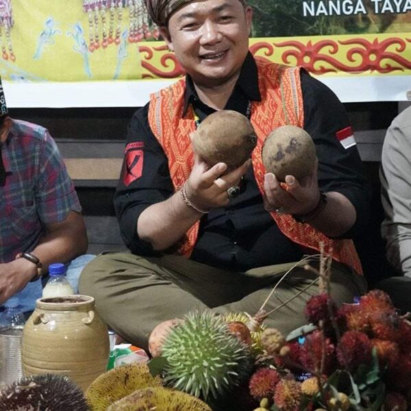 Sekda Ketapang Hadiri Acara Adat Padi Mansak Buah Garak Di Sekembar Nanga Tayap