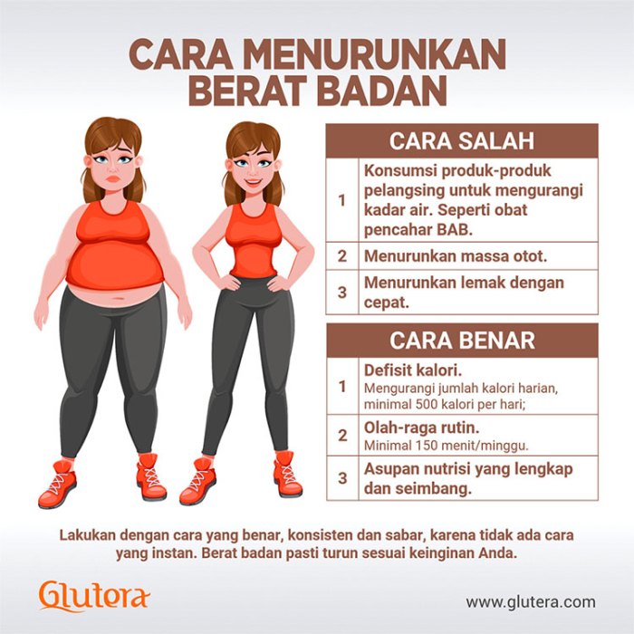 Diet Sehat Menurunkan Berat Badan Cepat