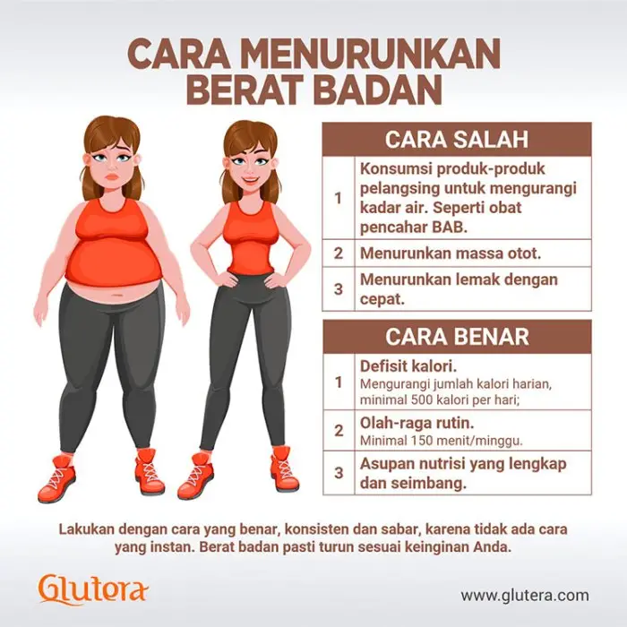 Diet Sehat Menurunkan Berat Badan Cepat