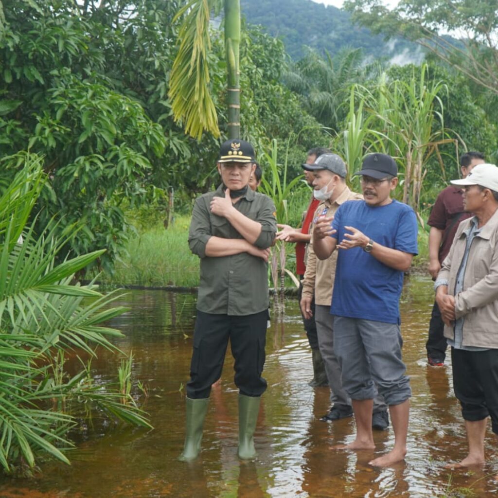 Bupati Romi Wijaya Tinjau Lokasi Banjir dan Serahkan Bantuan untuk Warga Transmigrasi Sedahan Jaya
