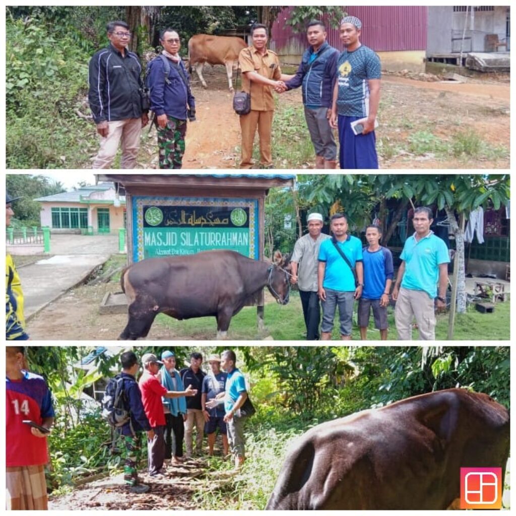 PT.SMS Penyerahan Hewan Qurban Sebagai Tanda Cinta Kepada Sesama