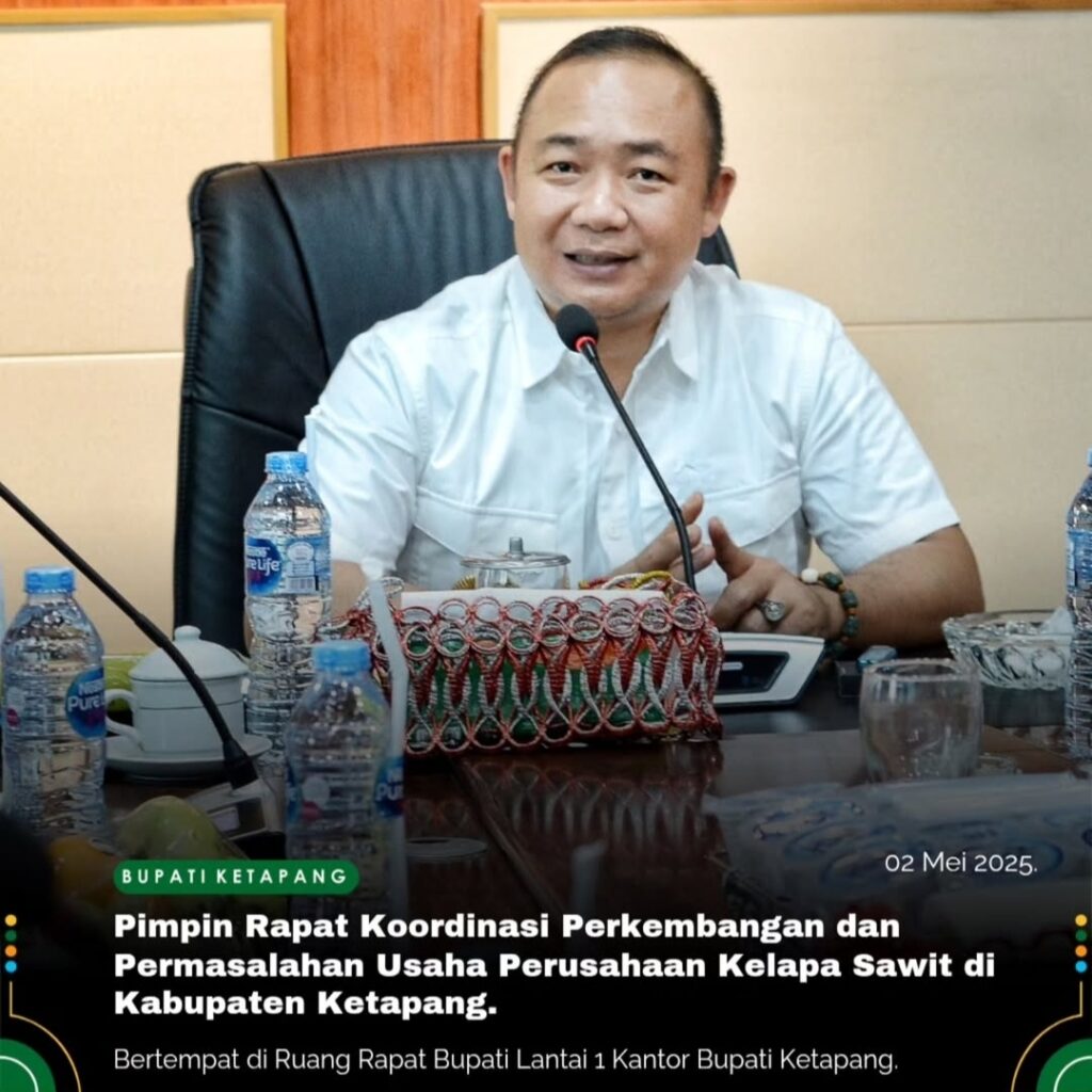 Bupati Ketapang Pimpin Rapat Koordinasi Perkembangan Dan Permasalahan Usah Perusahaan Kelapa Sawit