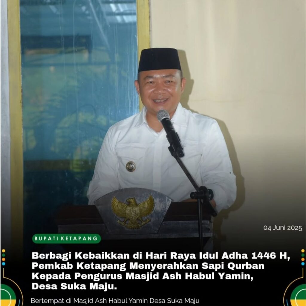 Bupati Ketapang Menerima Dan Menyerahkan Hewan Kurban Dari Presiden RI PrabowoSubianto