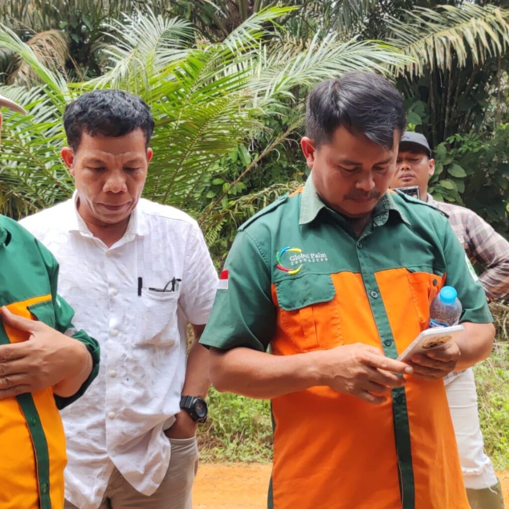 PT. PTS Tetap Panen, Warga Desa Teluk Bayur Tegaskan Pendudukan LahanDiluar HGU Berlanjut