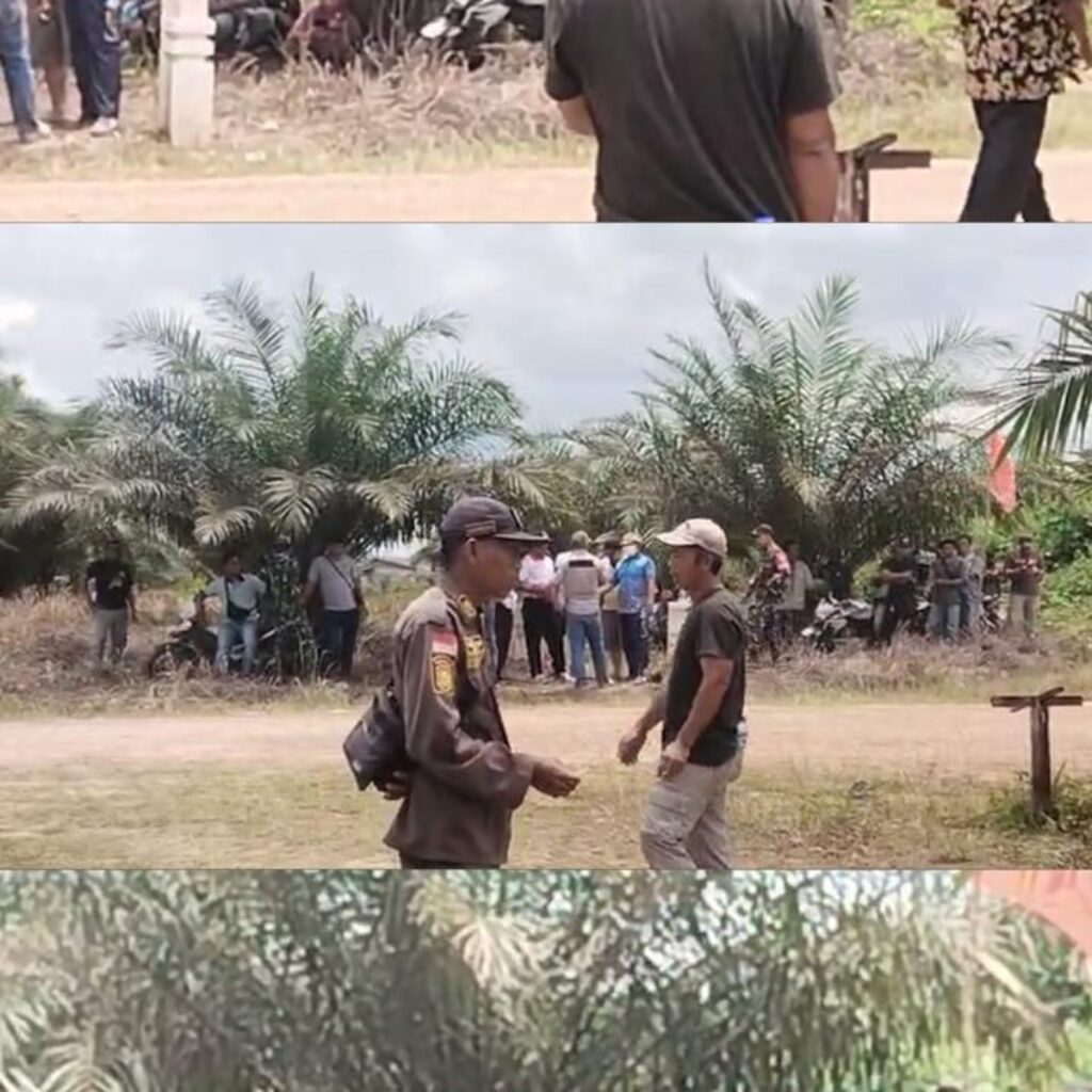 Kronologis Penyerangan Yang Dilakukan Oleh Camat Marau, Kades Sukakarya, Kepala BPDes Suka Karya, Kades Riam Batu Gading, Ketua Koperasi Merah Putih Desa Suka Karya, Kepala Sekolah SDN 01 Marau dan Oknum-oknum Yang diperintah