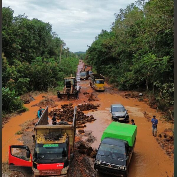 Keluhan Pengguna Jalan Ditindaklanjuti, Bupati Ketapang Surati Sejumlah Perusahaan