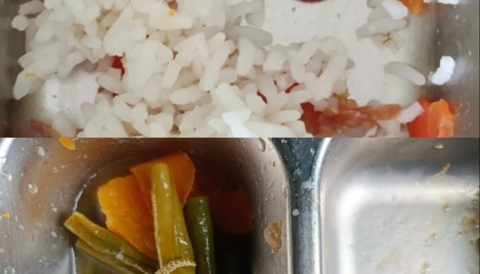 Menu MBG Dibagikan Hari Sabtu untuk SD di Kamboja Kayong Utara Berisi Ulat