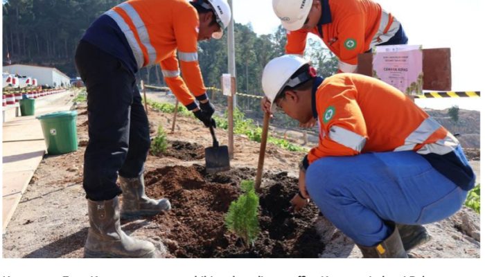 Hari Lingkungan Hidup 2026: KIPP Pulau Penebang Gencarkan Revegetasi dan Penghijauan Kawasan Industri