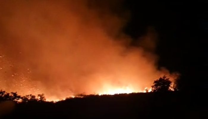 Karhutla di Matan Hilir Utara Ketapang Meluas, Warga Berjaga Malam Cegah Api Masuk Permukiman