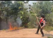 Gerak Cepat Tim Karhutla Muara Enim Berbuah Manis, Api Lahap 1 Hektare Lahan Berhasil Dijinakkan